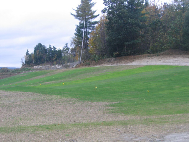 Reclaimed Solids Used In Grass Planting Test